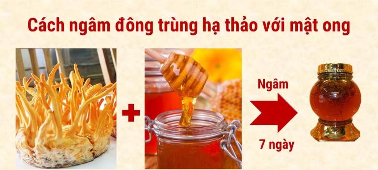 cach-ngam-dong-trung-ha-thao-voi-mat-ong