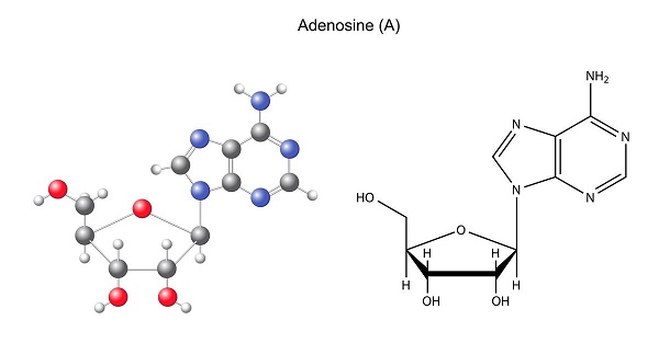 adenosine-la-gi