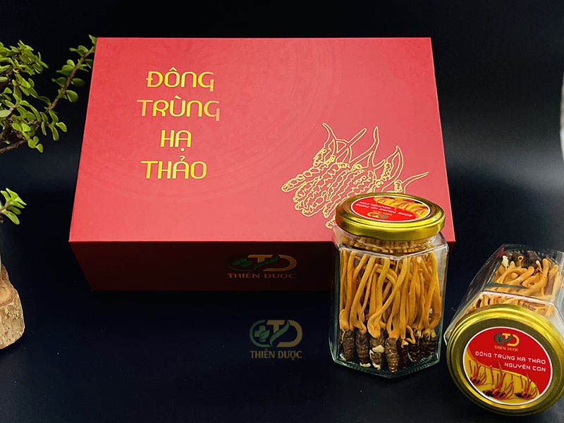 Đông Trùng hạ thảo nguyên con