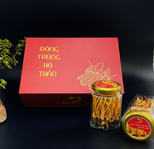 nguyen-con-dong-trung-ha-thao-4